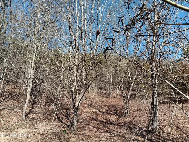 $99,900 | 0 Cracker Neck Road, Washburn, TN 37888