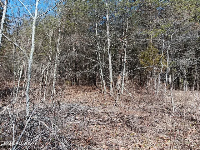 $99,900 | 0 Cracker Neck Road, Washburn, TN 37888