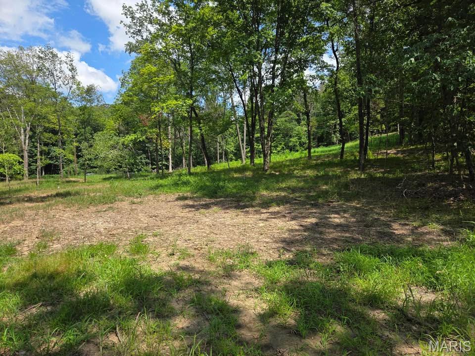 798 Wengler Road Pacific, MO 63069 - Photo 5 of 8 Gallery Image 5