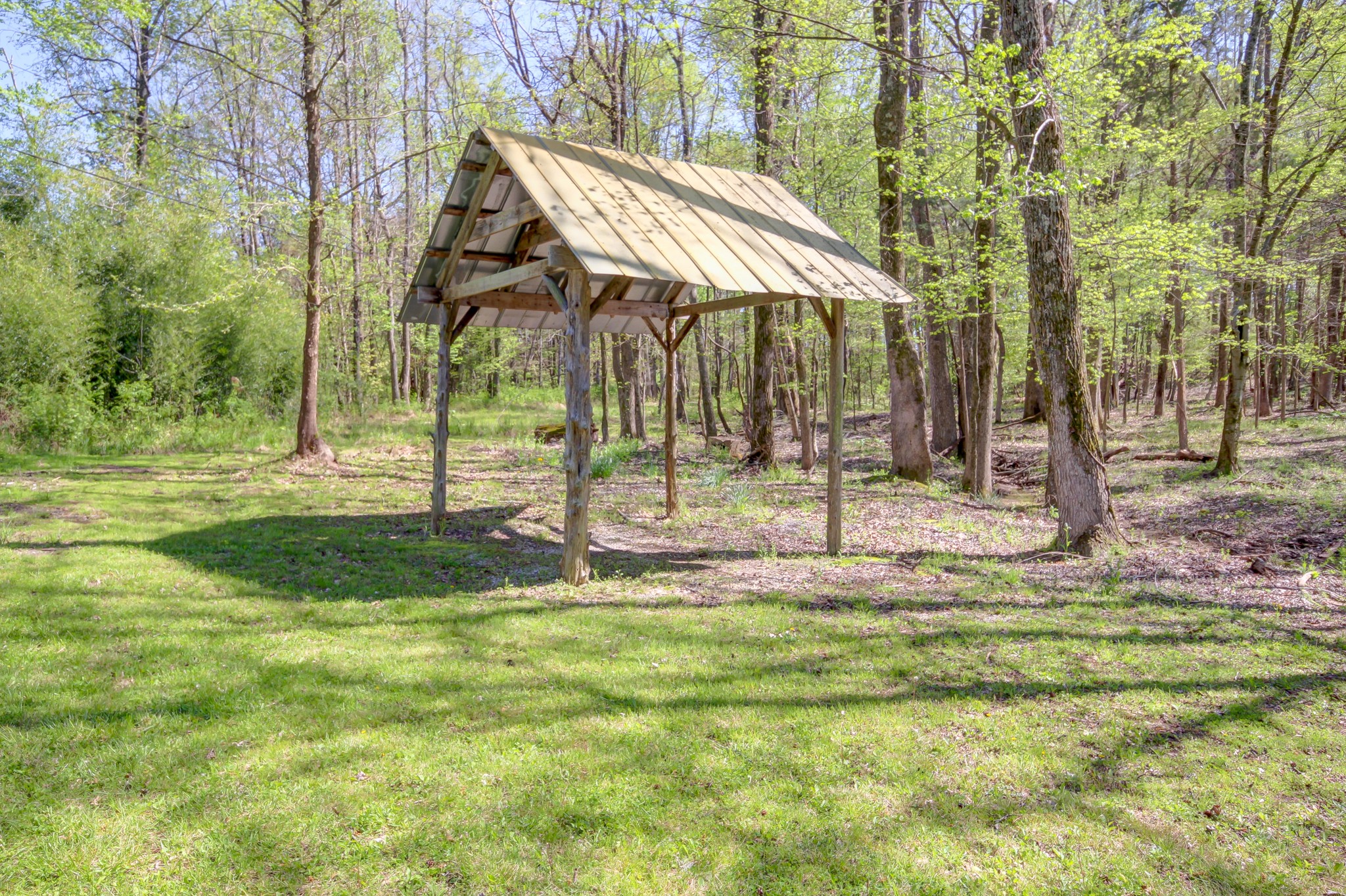 4141 Sango Road Clarksville, TN 37043 - Photo 54 of 57 a view of a park