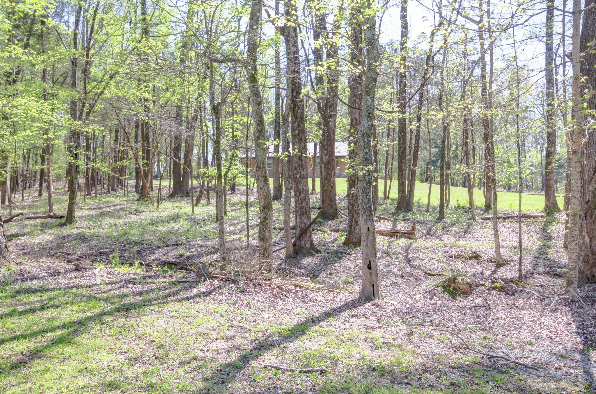 4141 Sango Road Clarksville, TN 37043 - Photo 56 of 57