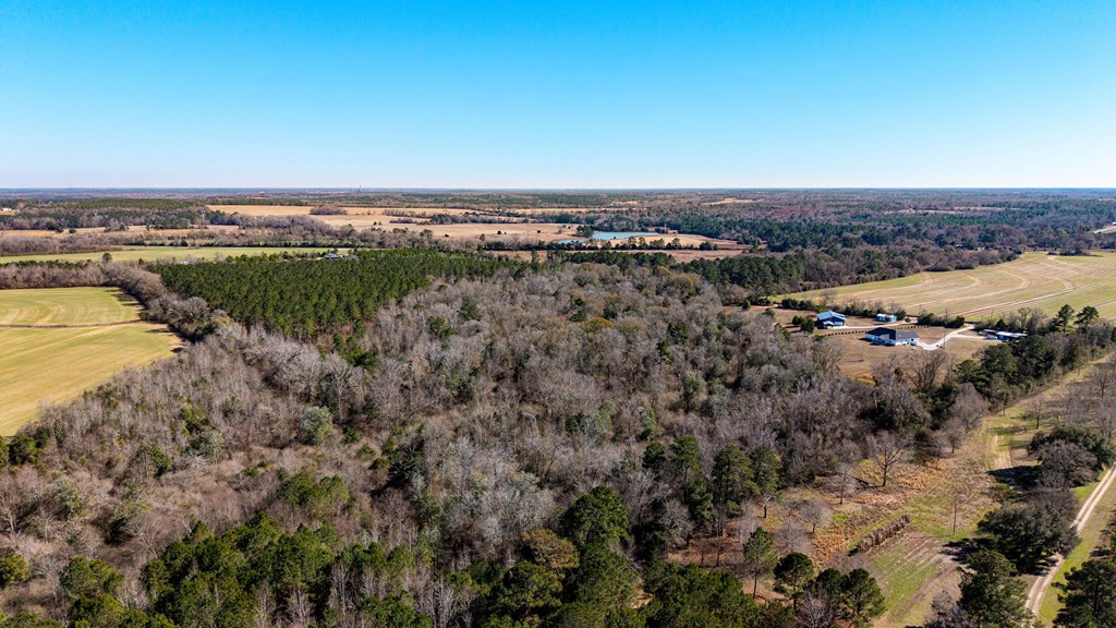 0 Bruner Pond Road Ashford, AL 36312 - Photo 6 of 30