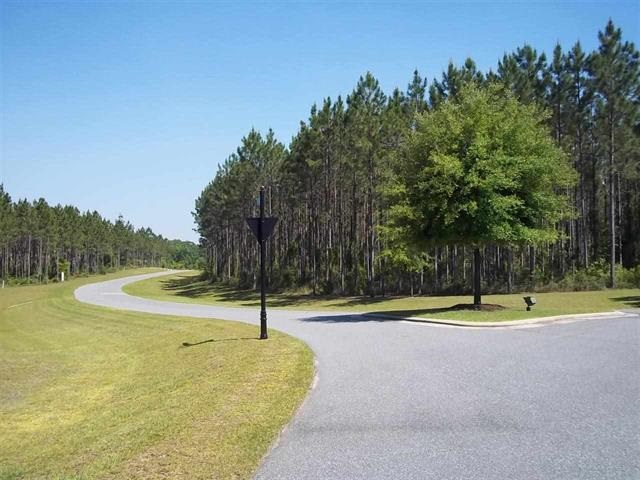 Lot 2 Ranch Club Road Tallahassee, FL 32305 - Photo 3 of 7