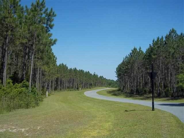 Lot 2 Ranch Club Road Tallahassee, FL 32305 - Photo 4 of 7