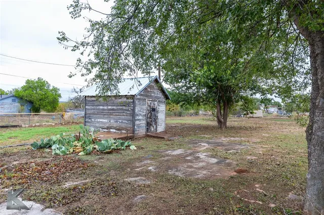 a view of a tree in the yard