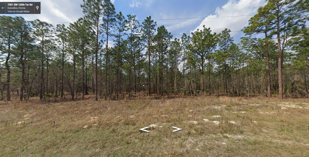 Southwest 128th Terrace Road Dunnellon, FL 34432 - Photo 1 of 1 Gallery Image 1