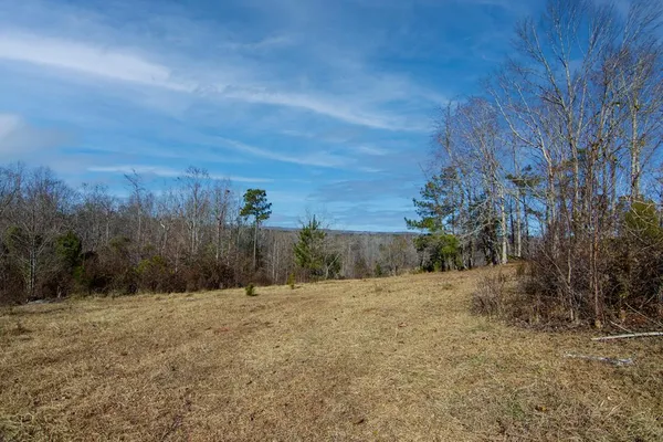 a view of a dry yard