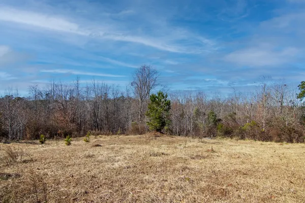 a view of a lake with lawn chairs and plants