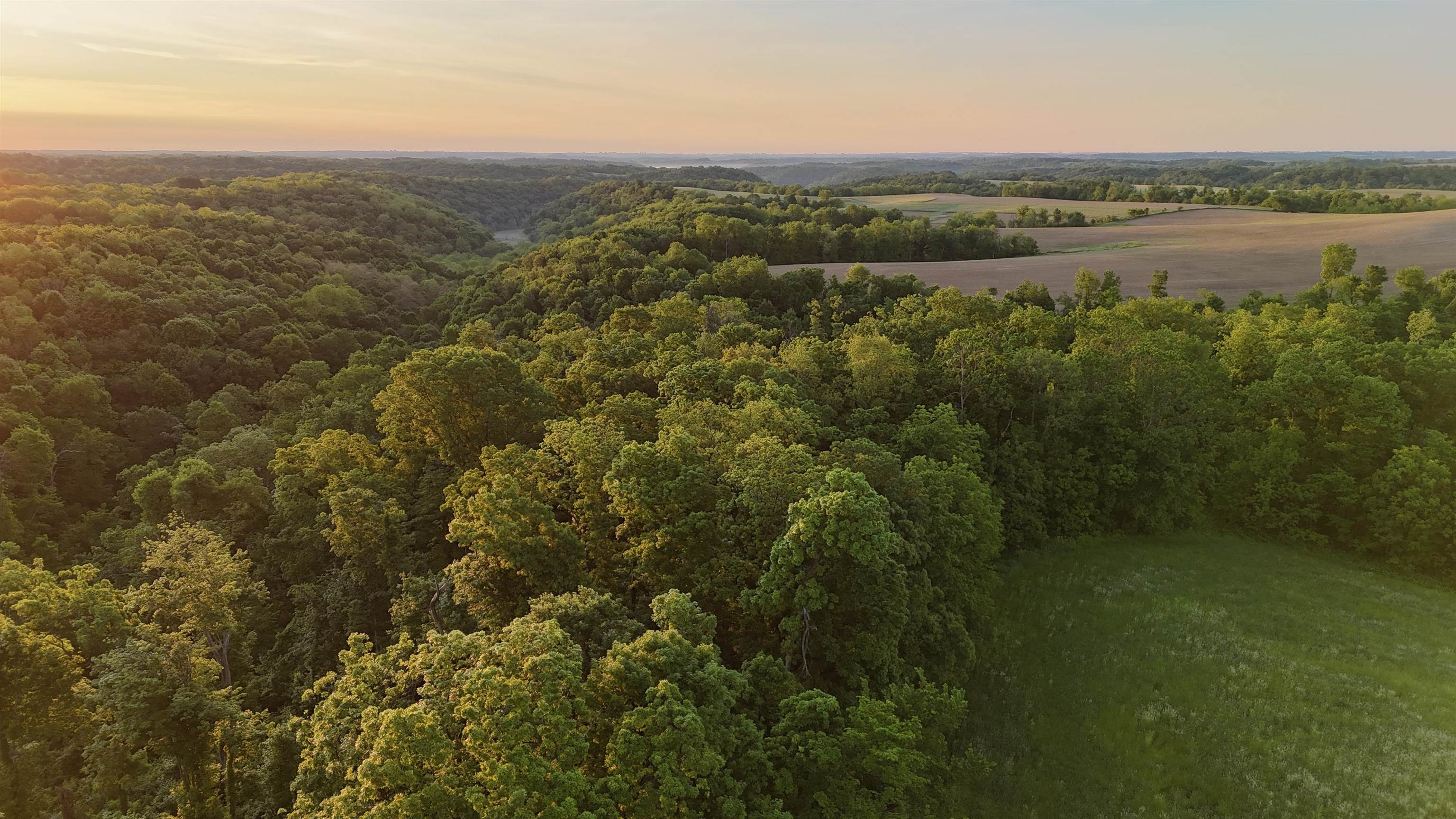 0 County T Boscobel, WI 53805 - Photo 14 of 30