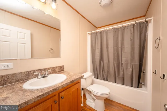 a bathroom with a sink a toilet and shower curtain
