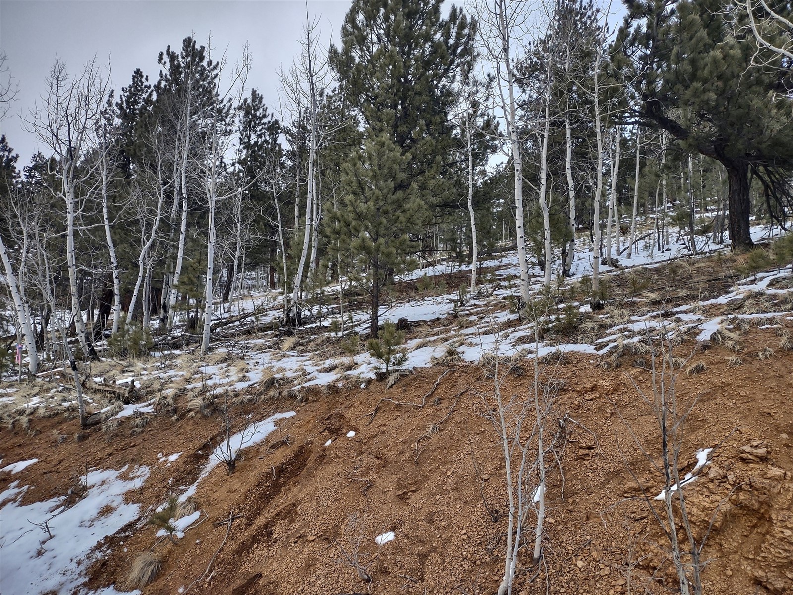 525 Gross Road Bailey, CO 80421 - Photo 5 of 13 Gallery Image 5