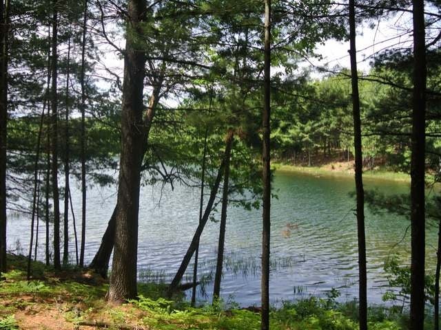 Lot 1 North Bluebird Road Lake Tomahawk, WI 54539 - Photo 12 of 20 Gallery Image 12