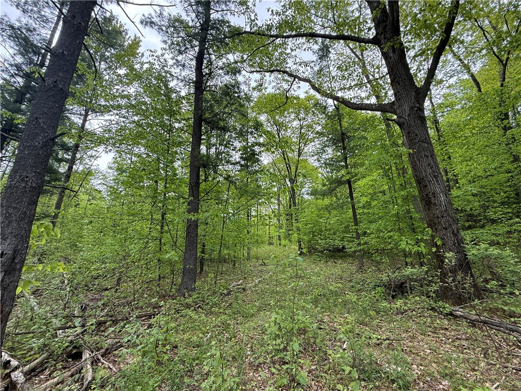 Hawley Road Bradford, NY 14815 - Photo 5 of 42