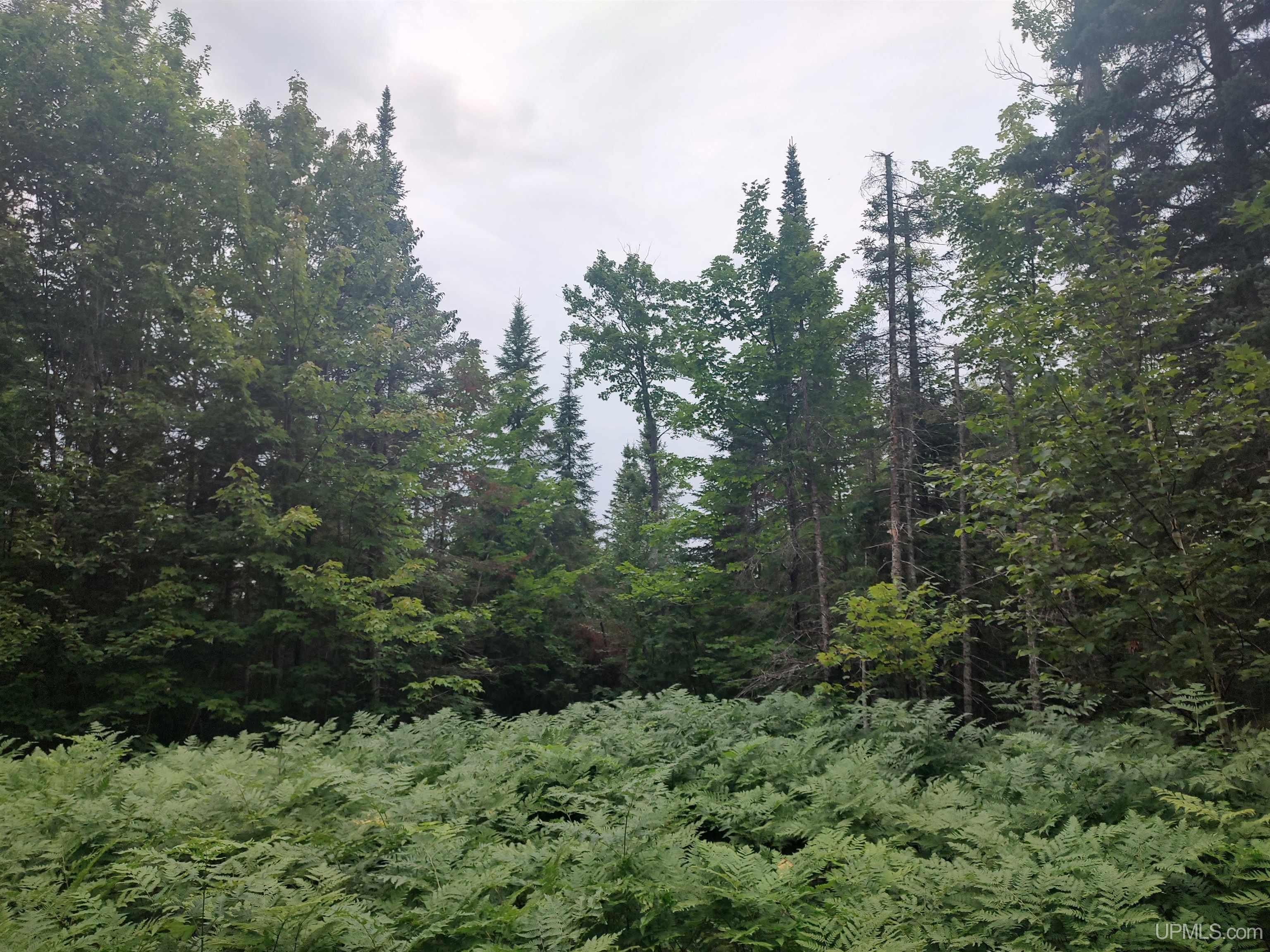 60-acres Sleepy Hollow Road Ishpeming, MI 49849 - Photo 9 of 29