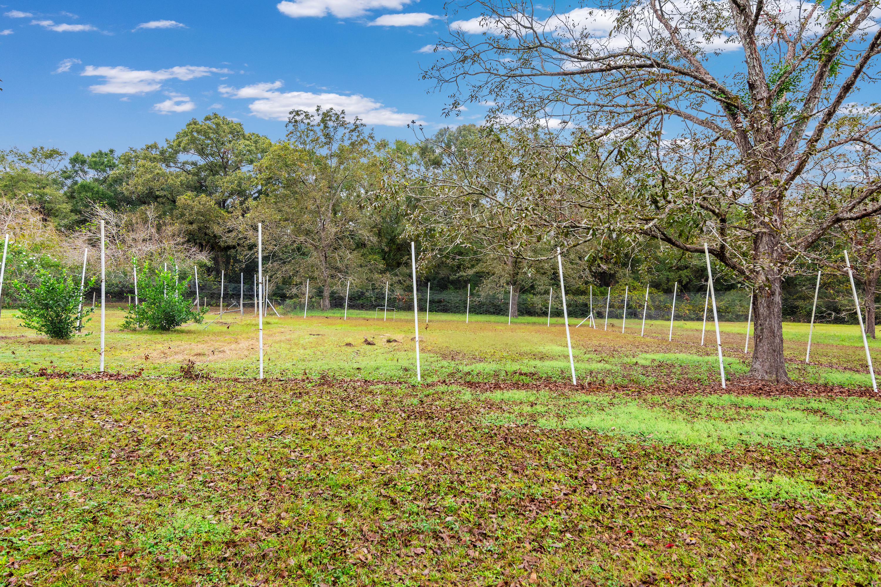 5949 Dairy Road Baker, FL 32531 - Photo 28 of 29