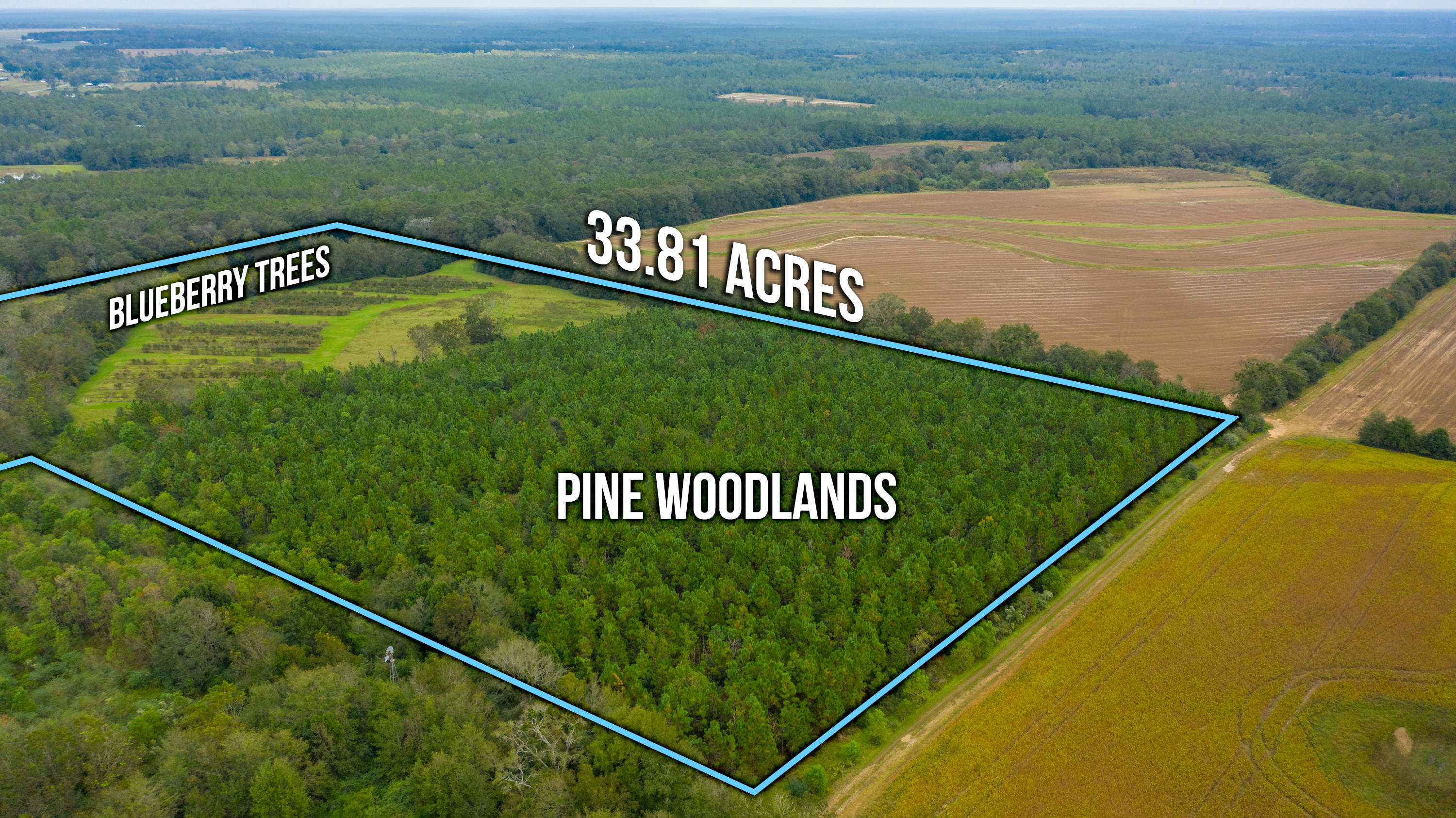 5949 Dairy Road Baker, FL 32531 - Photo 5 of 29