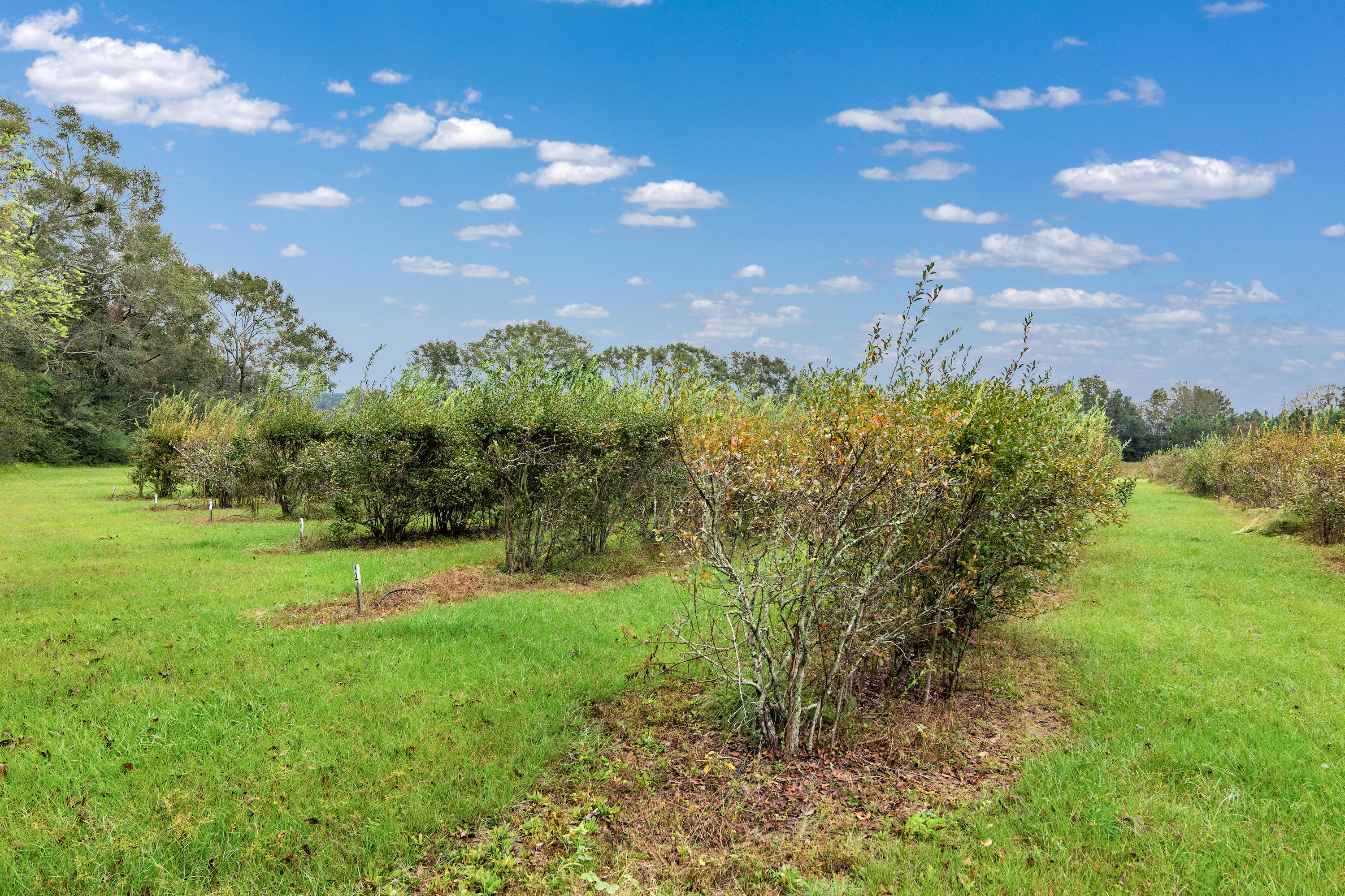5949 Dairy Road Baker, FL 32531 - Photo 10 of 29