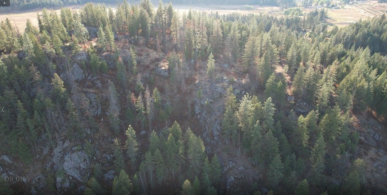 561 Dolomite Road Colville, WA 99114 - Photo 42 of 49
