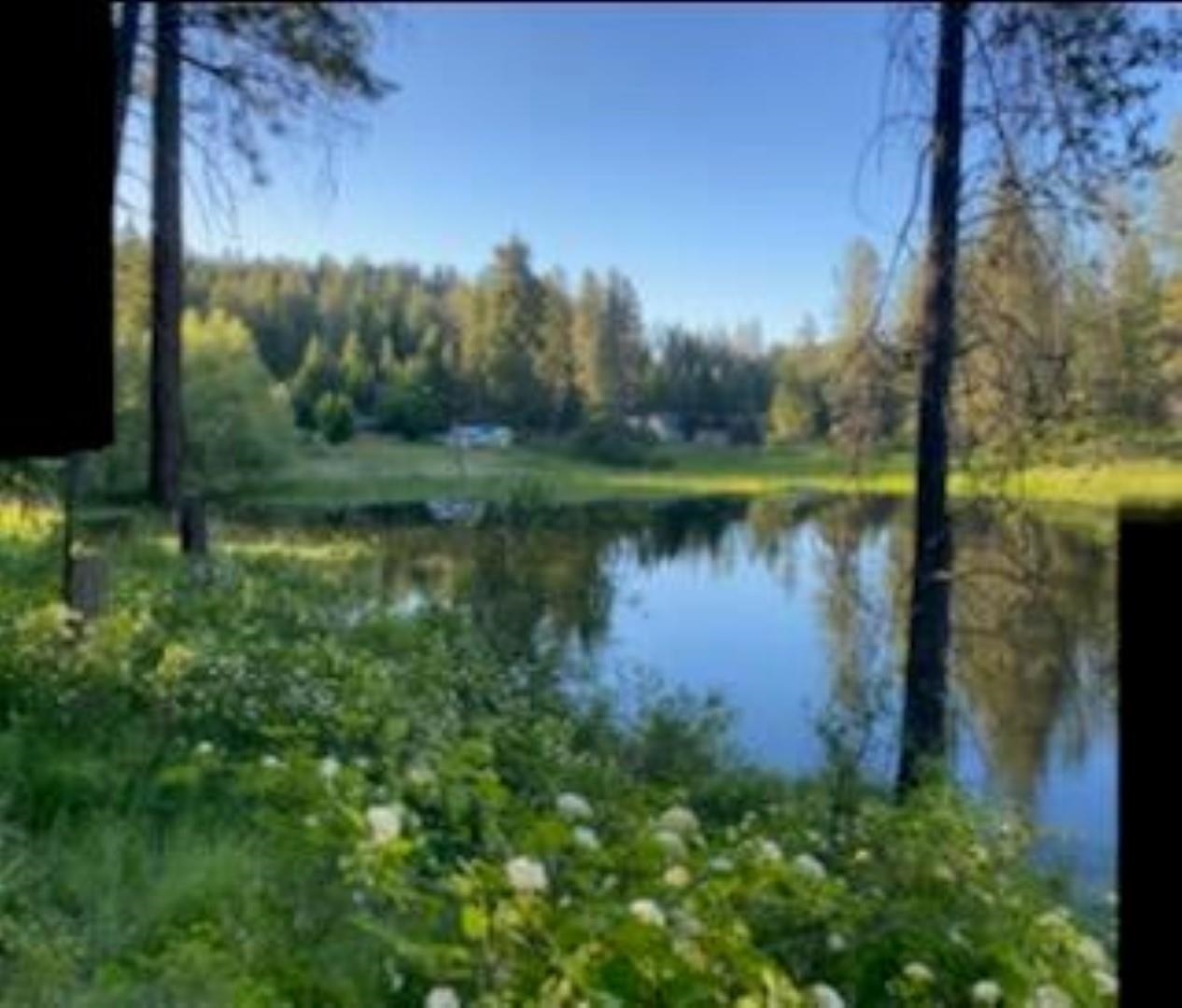 561 Dolomite Road Colville, WA 99114 - Photo 7 of 49