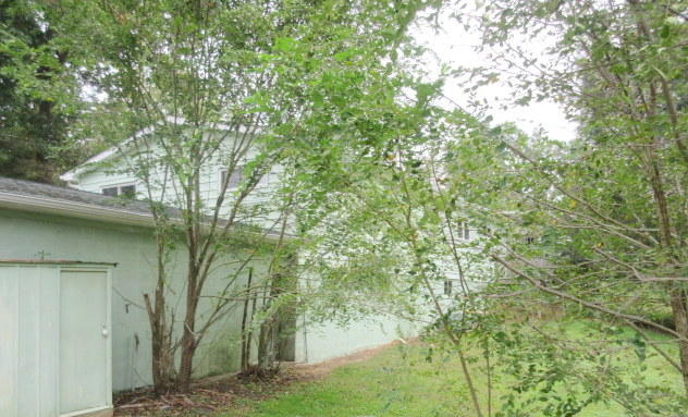 8101 Harmon Road Powell, TN 37849 - Photo 9 of 10 IMG_1610