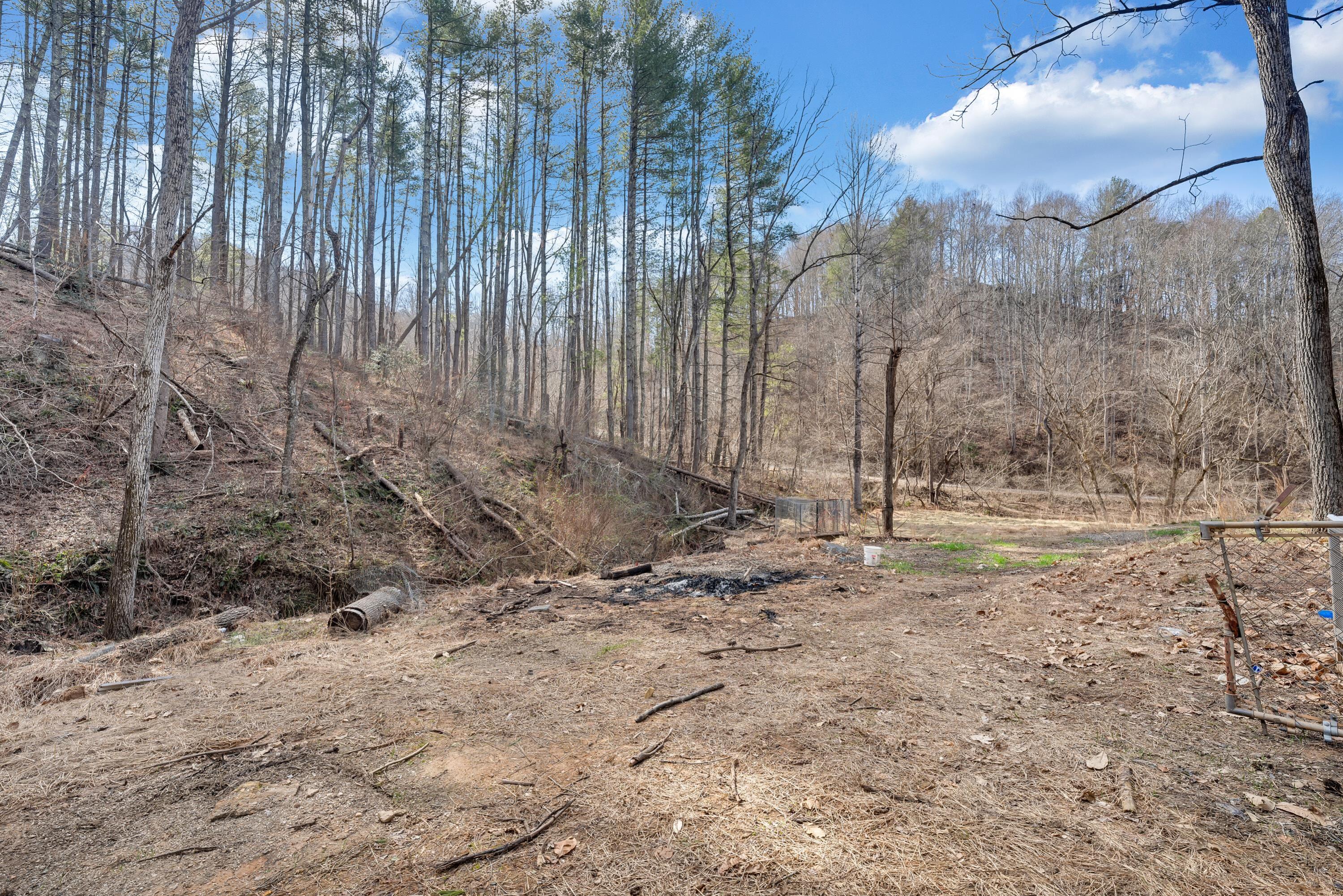4065 Aerospace Road Roanoke, VA 24014 - Photo 8 of 13 a view of a backyard with trees
