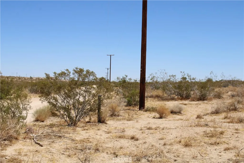 5 Joshua Tree Road Johnson Valley, CA 92285 - Photo 13 of 21 Gallery Image 13