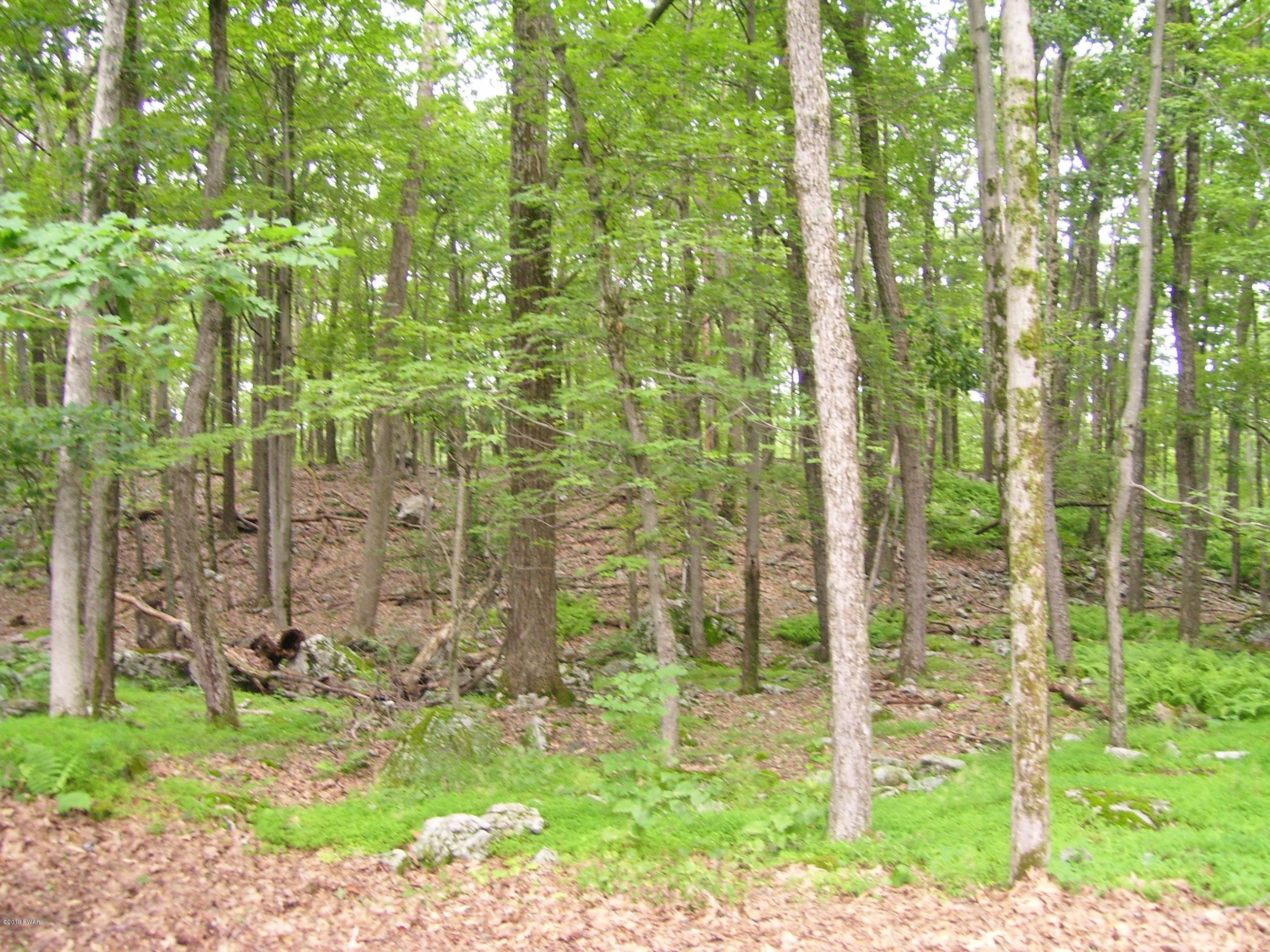 236 Perry Road Greentown, PA 18426 - Photo 35 of 56 Private land behind property