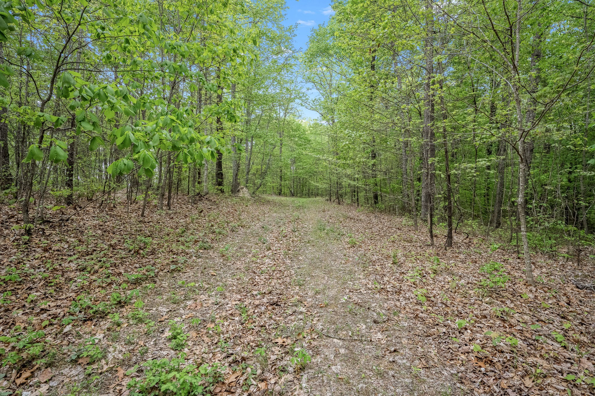 1975 Sugar Tree Knob Road Liberty, TN 37095 - Photo 11 of 22
