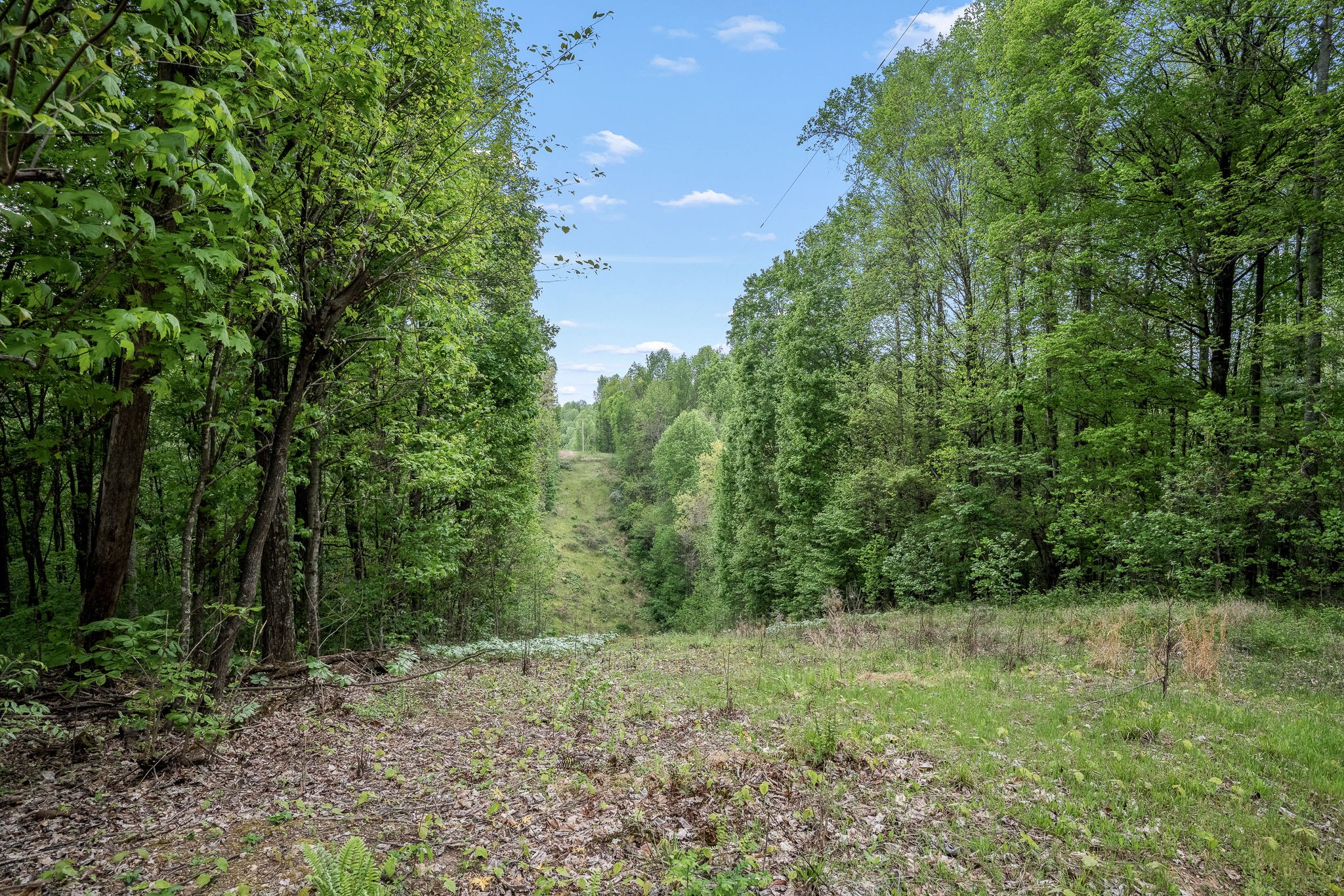 1975 Sugar Tree Knob Road Liberty, TN 37095 - Photo 12 of 22