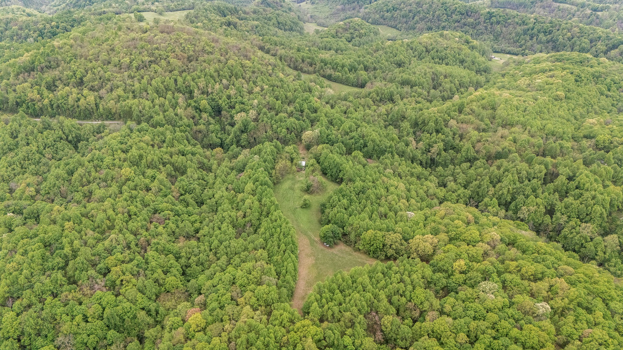 1975 Sugar Tree Knob Road Liberty, TN 37095 - Photo 13 of 22