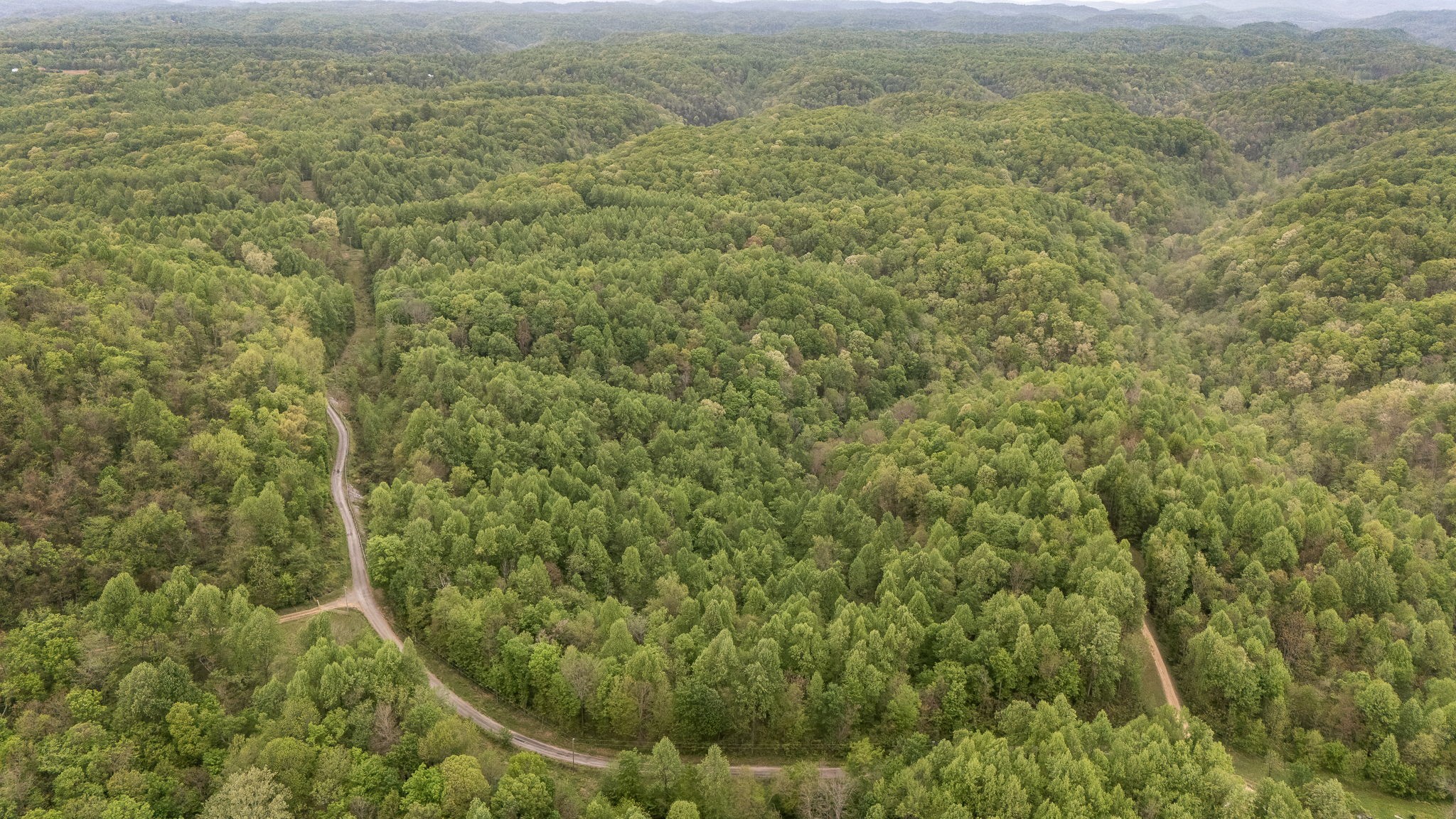 1975 Sugar Tree Knob Road Liberty, TN 37095 - Photo 15 of 22