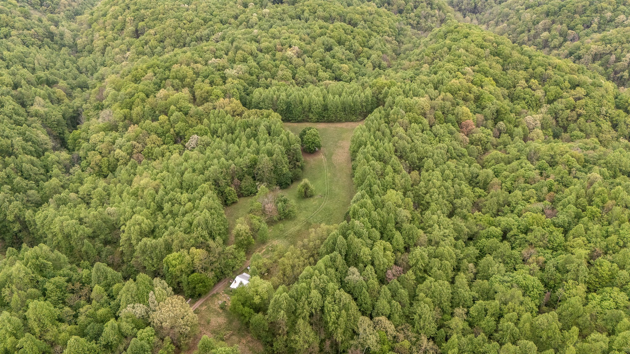 1975 Sugar Tree Knob Road Liberty, TN 37095 - Photo 16 of 22