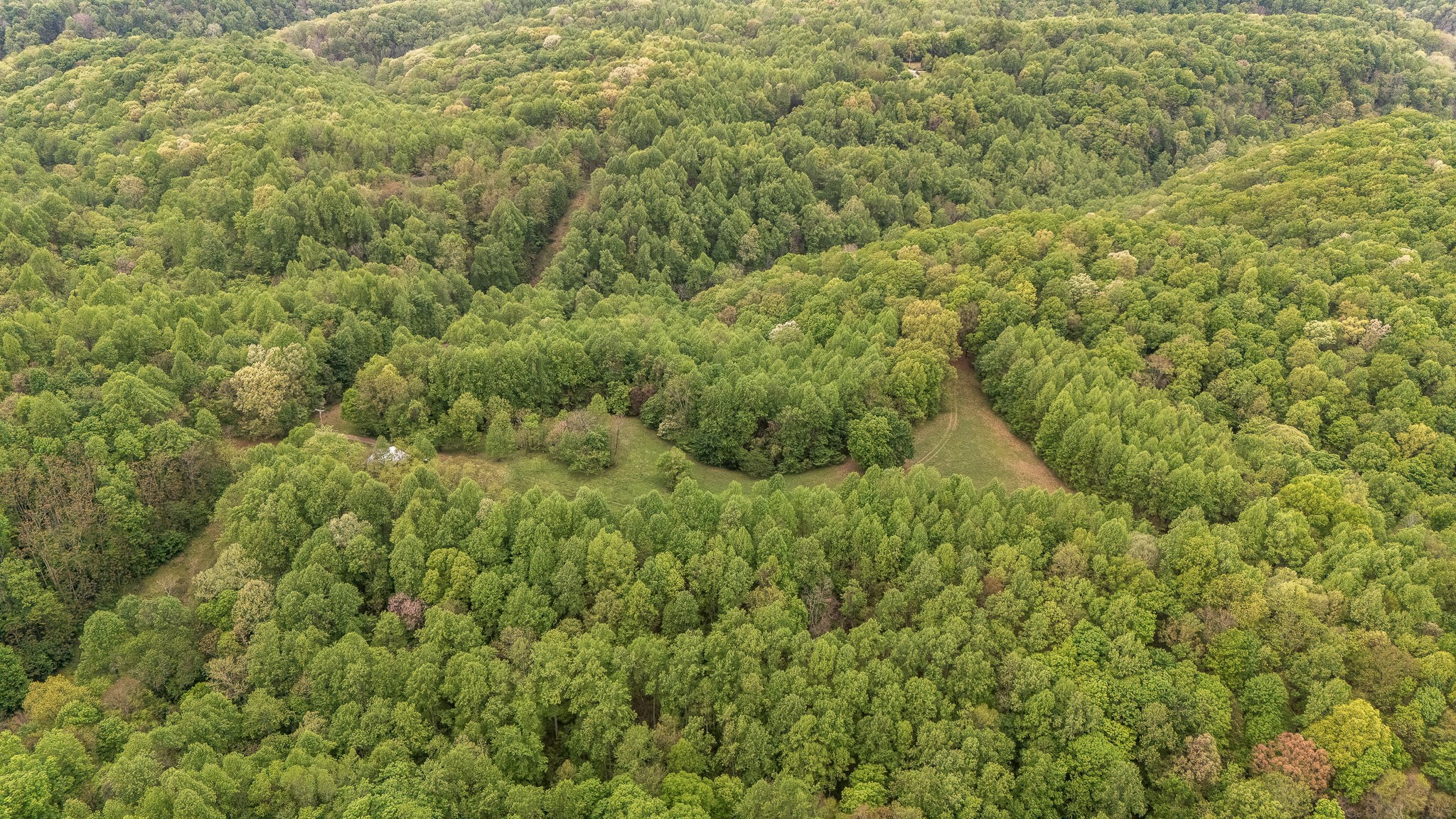 1975 Sugar Tree Knob Road Liberty, TN 37095 - Photo 17 of 22