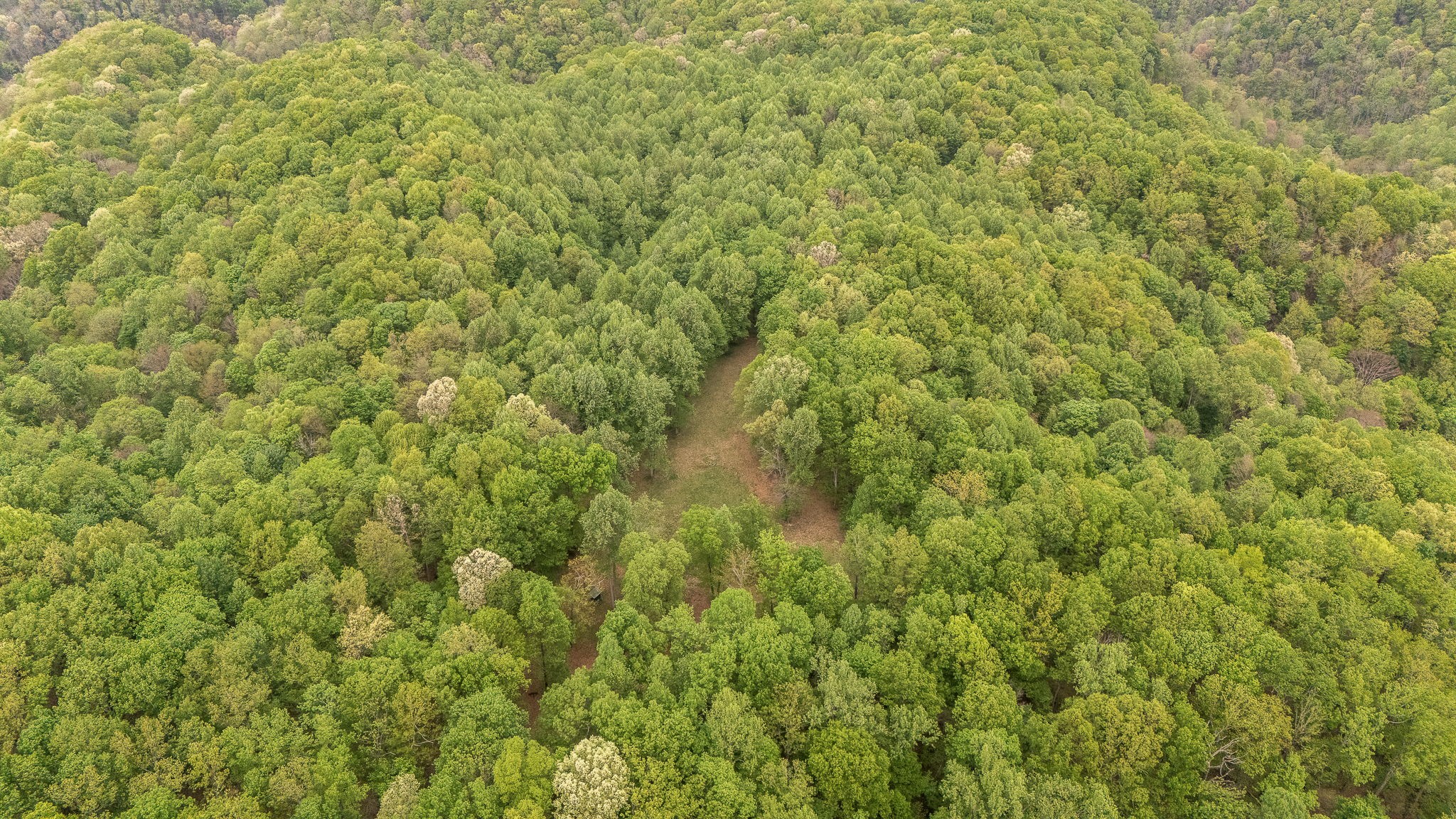 1975 Sugar Tree Knob Road Liberty, TN 37095 - Photo 18 of 22