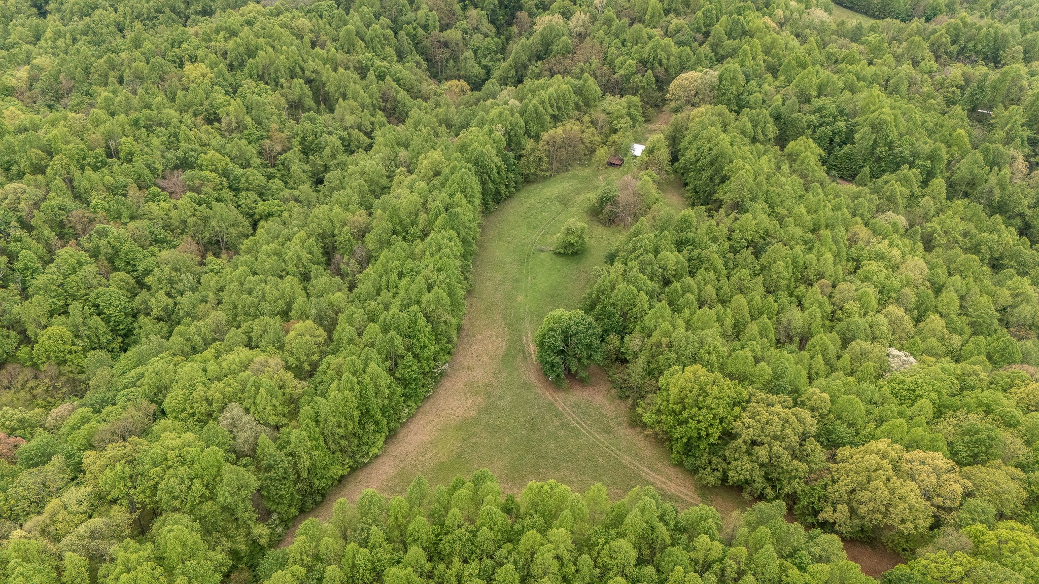 1975 Sugar Tree Knob Road Liberty, TN 37095 - Photo 19 of 22