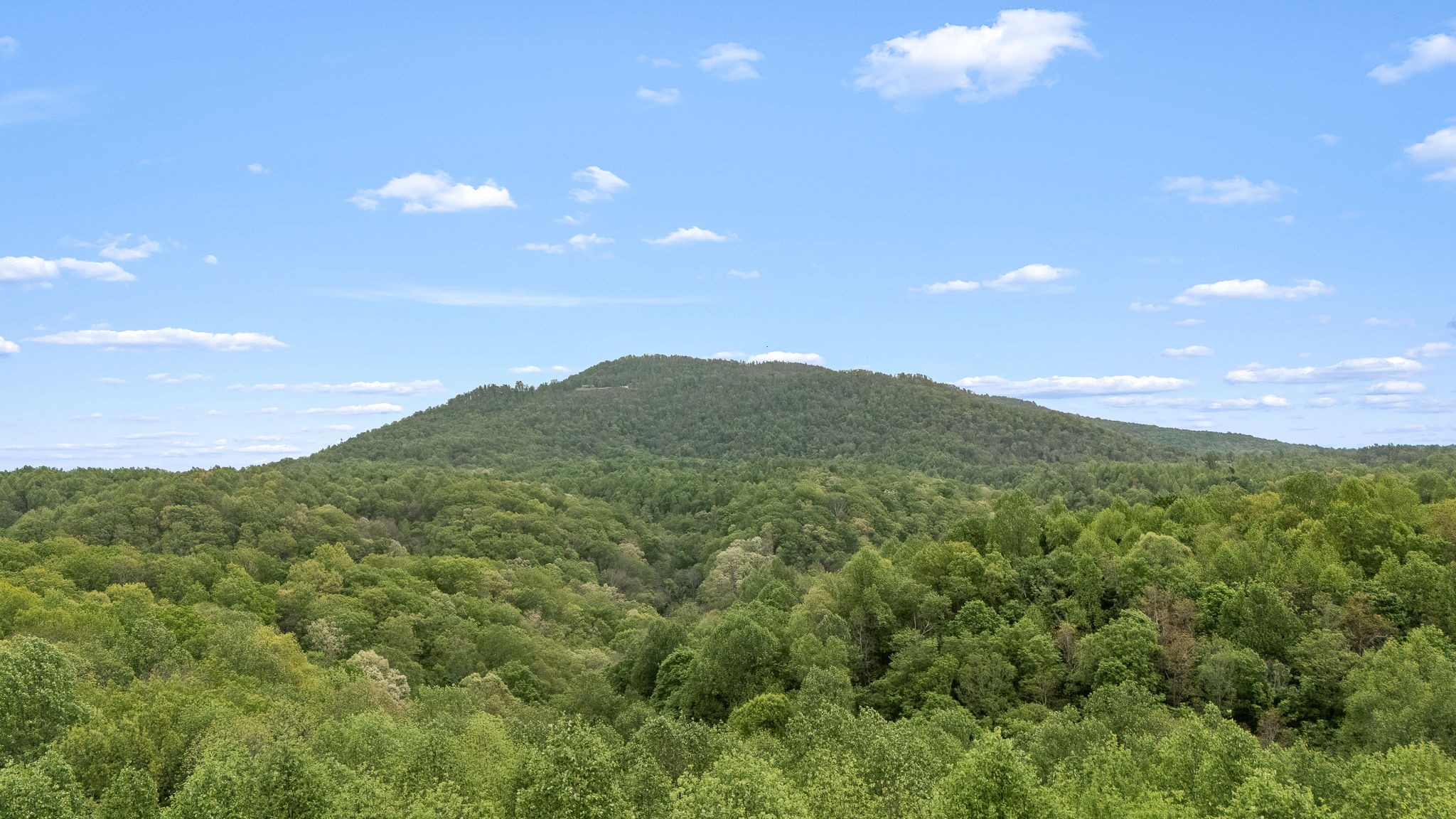 1975 Sugar Tree Knob Road Liberty, TN 37095 - Photo 20 of 22