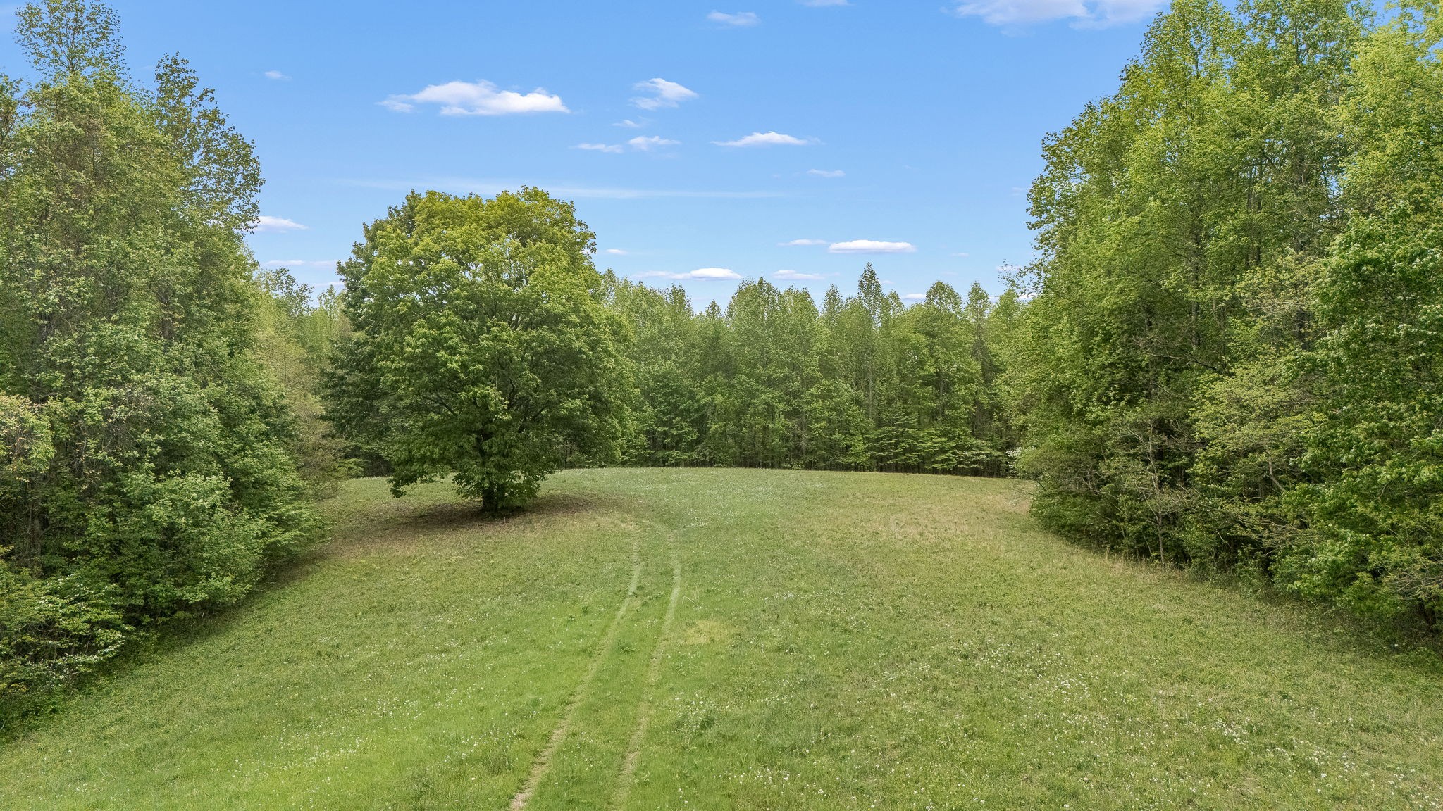 1975 Sugar Tree Knob Road Liberty, TN 37095 - Photo 3 of 22