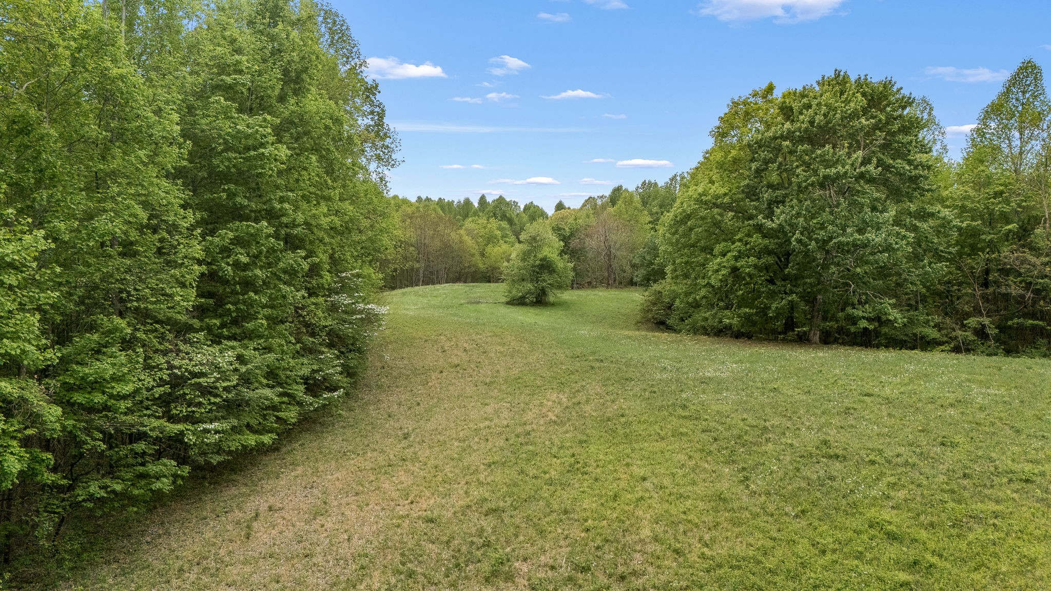 1975 Sugar Tree Knob Road Liberty, TN 37095 - Photo 4 of 22