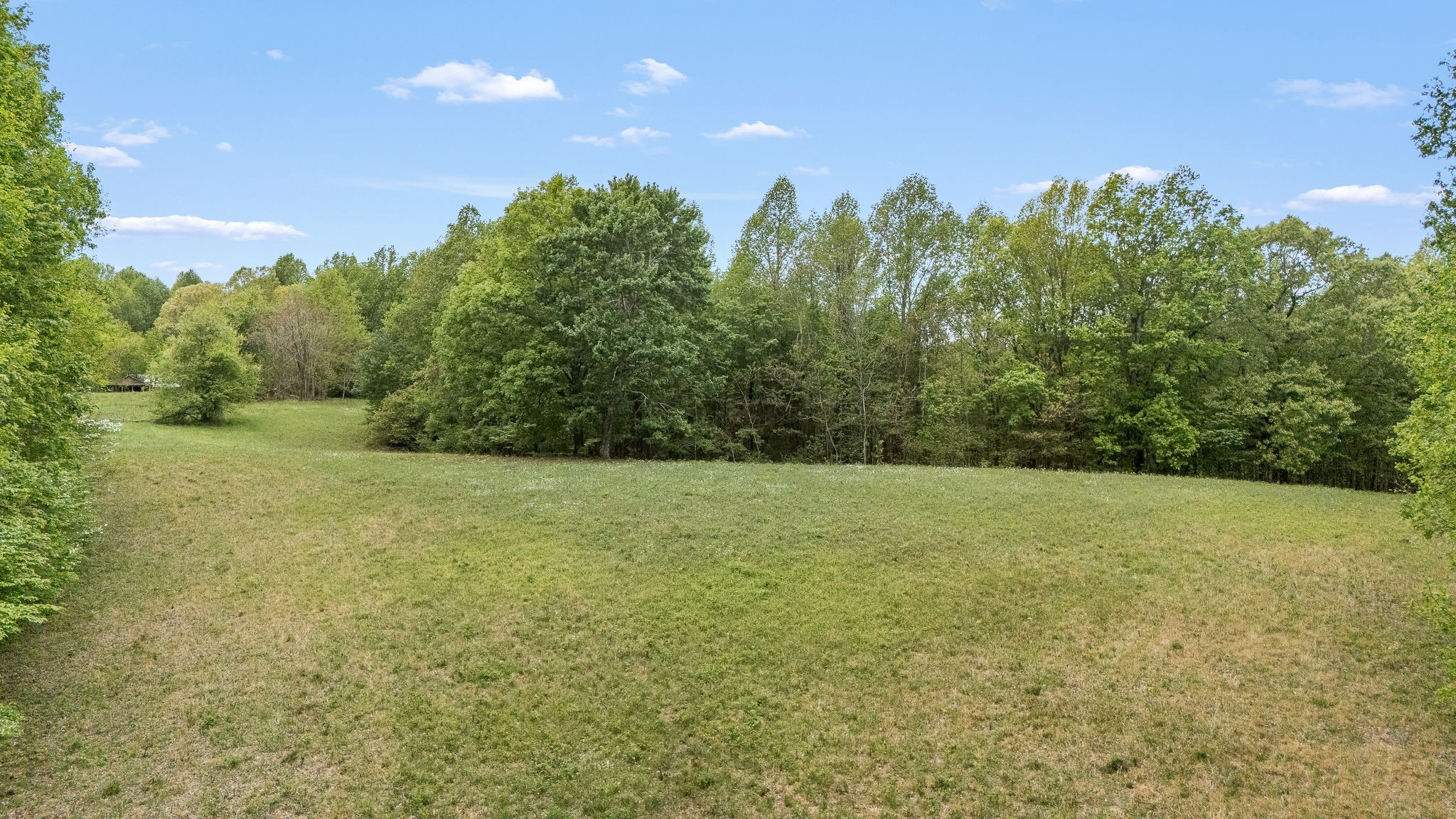 1975 Sugar Tree Knob Road Liberty, TN 37095 - Photo 5 of 22