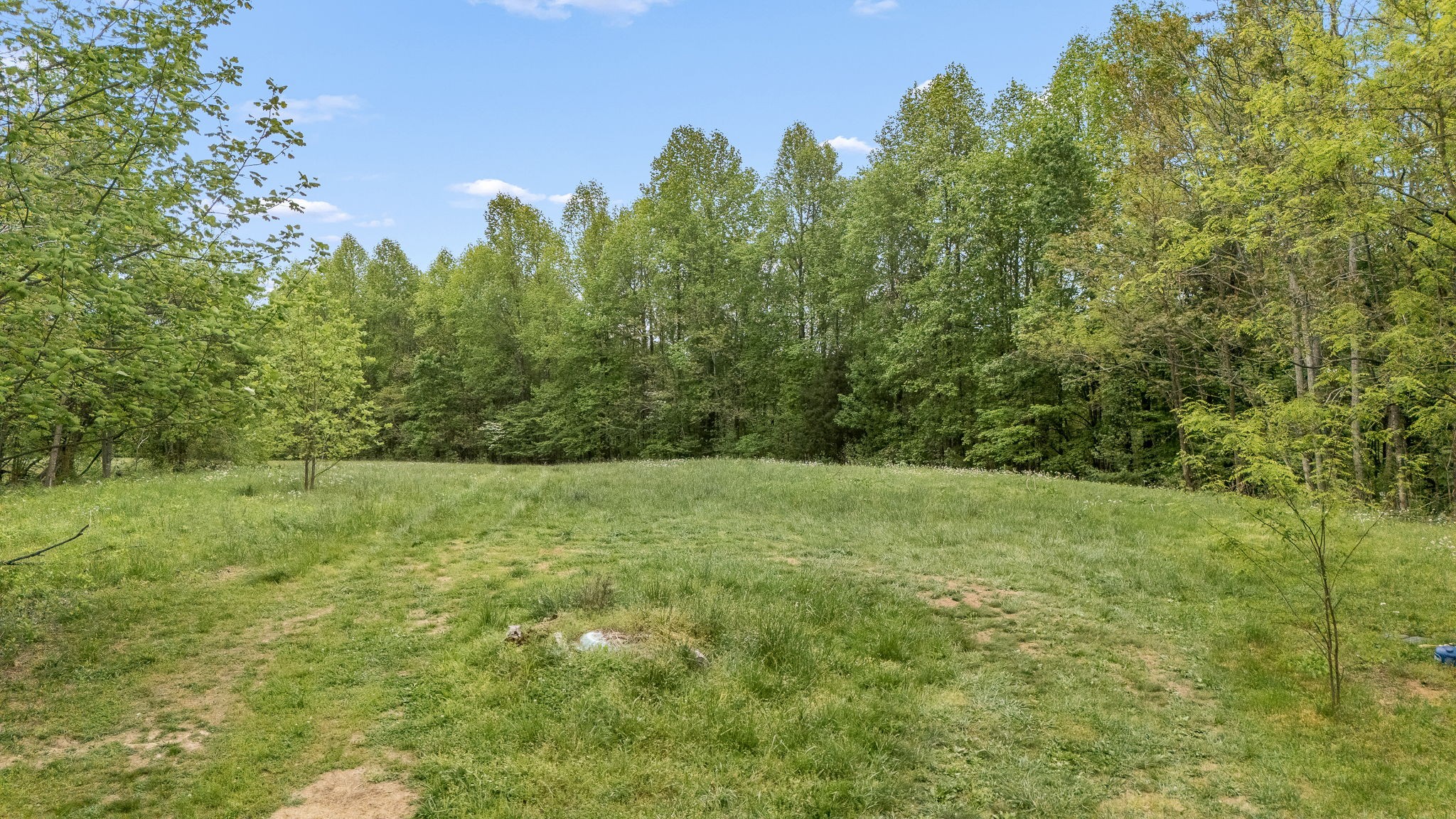 1975 Sugar Tree Knob Road Liberty, TN 37095 - Photo 6 of 22