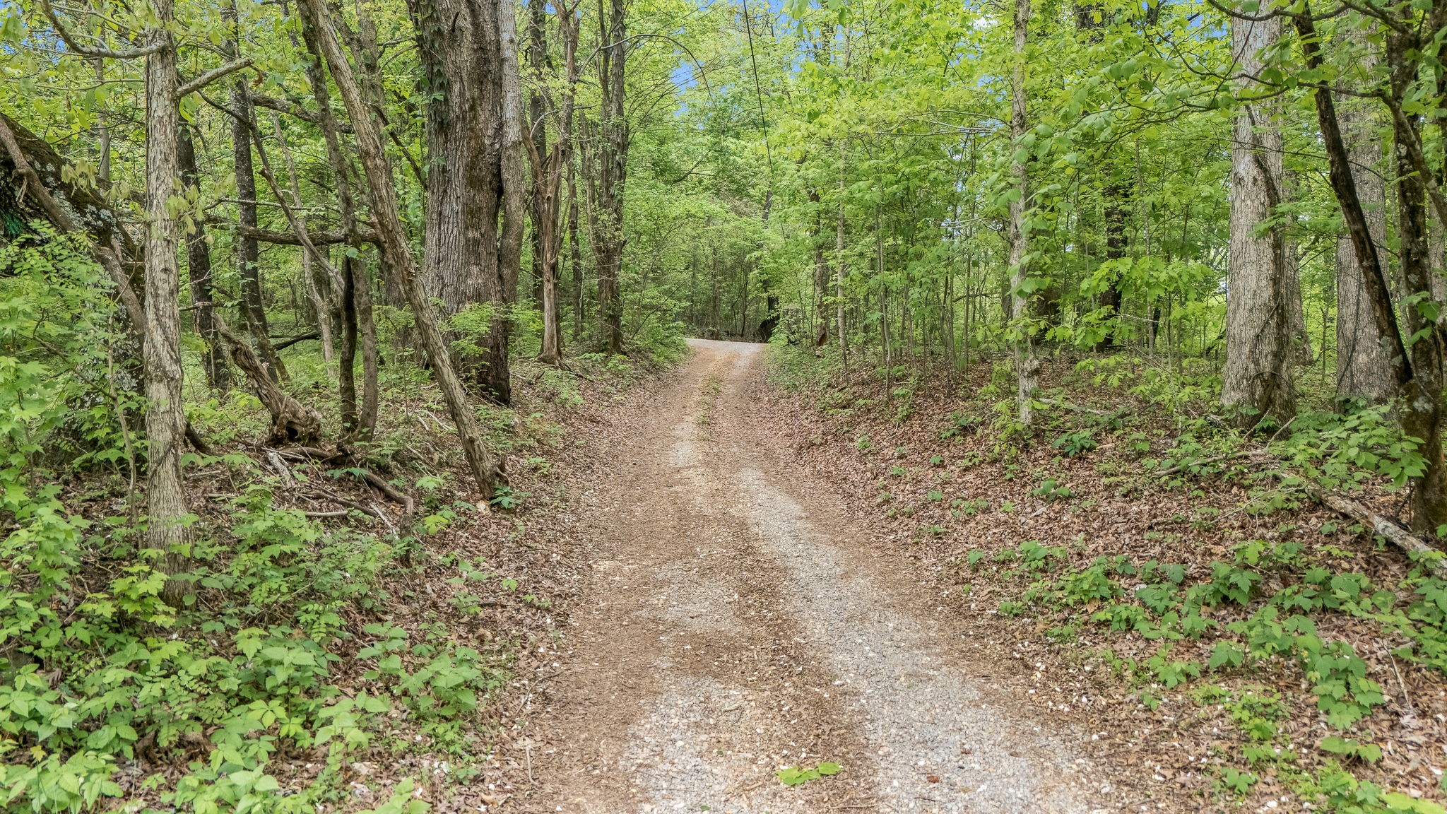 1975 Sugar Tree Knob Road Liberty, TN 37095 - Photo 7 of 22