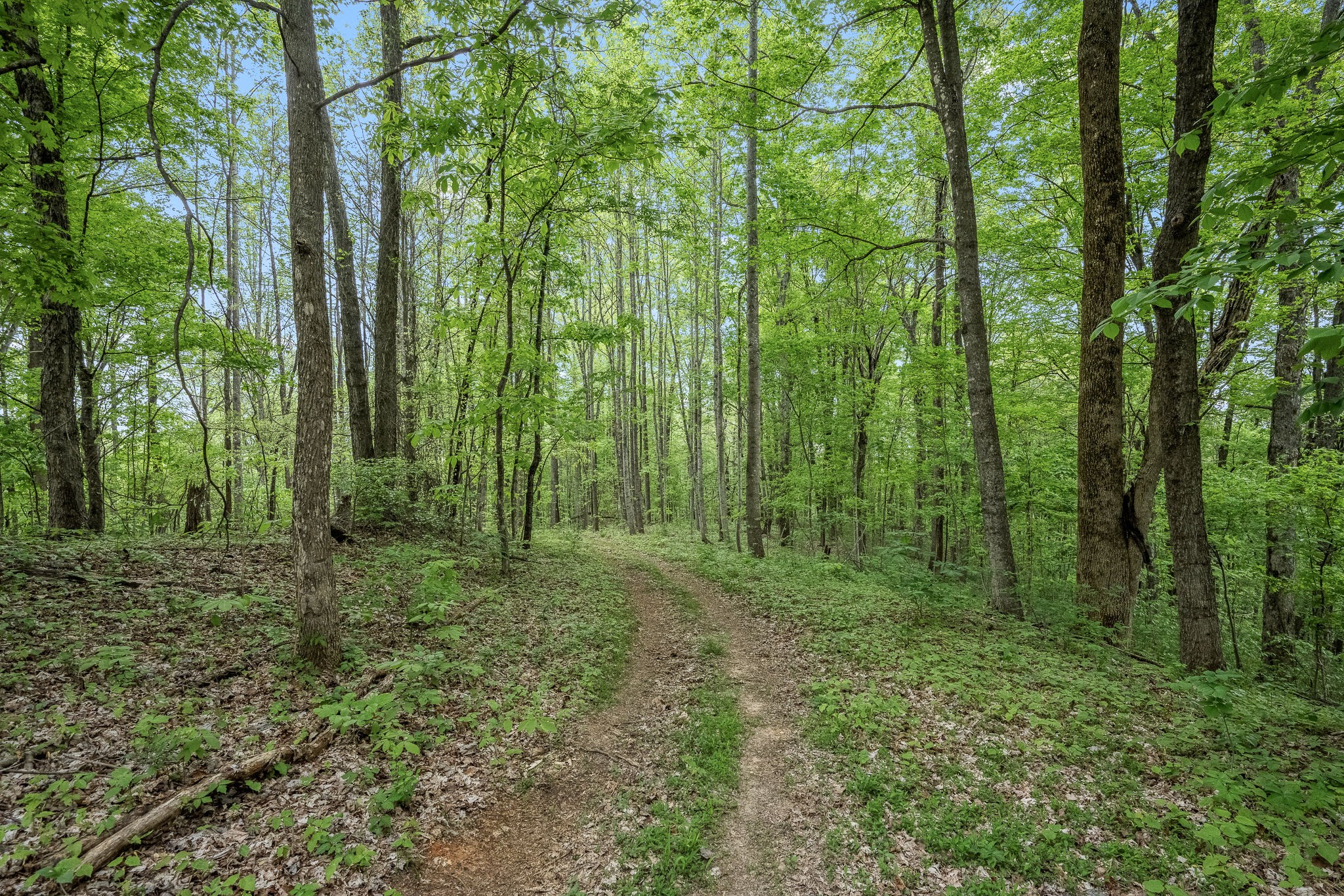 1975 Sugar Tree Knob Road Liberty, TN 37095 - Photo 8 of 22