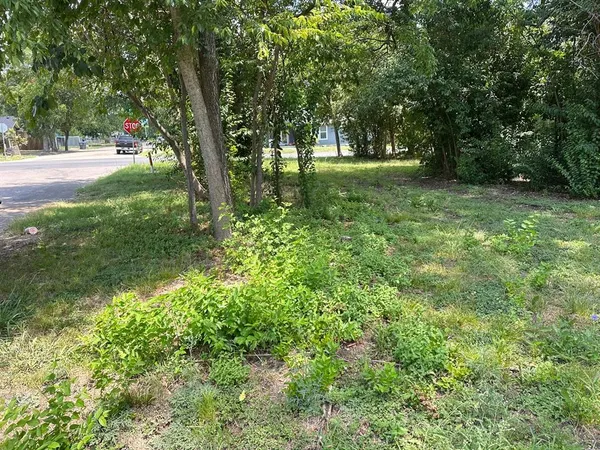 a view of yard with trees
