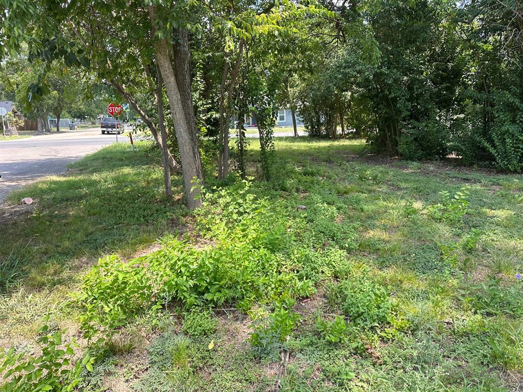 2504 McKenzie Avenue Waco, TX 76708 - Photo 2 of 5 a view of yard with trees