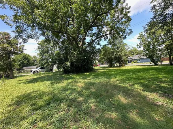 a view of a park with large trees