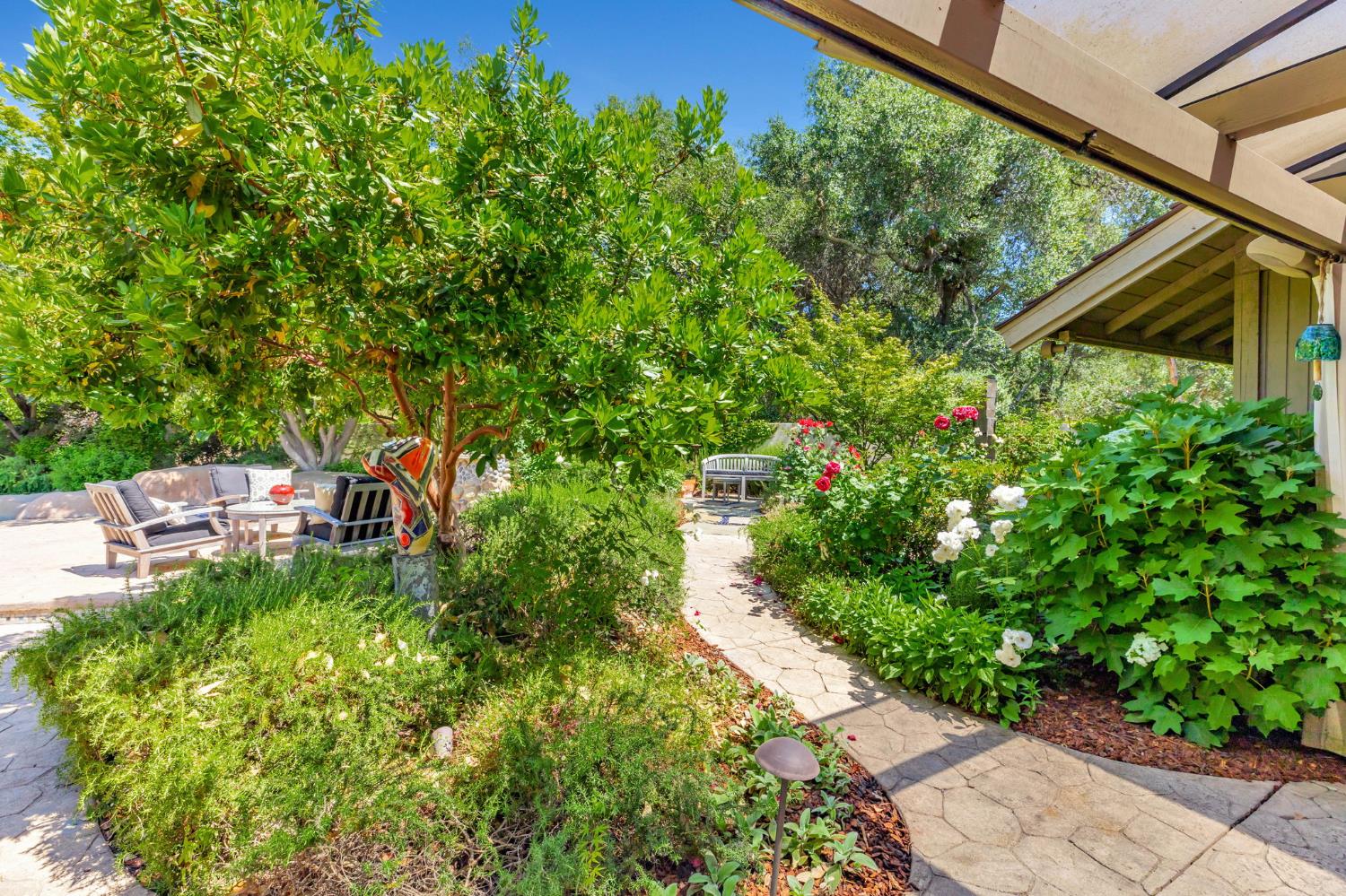 11575 Splitrock Court Gold River, CA 95670 - Photo 71 of 90 a backyard of a house with lots of green space potted plants and large tree