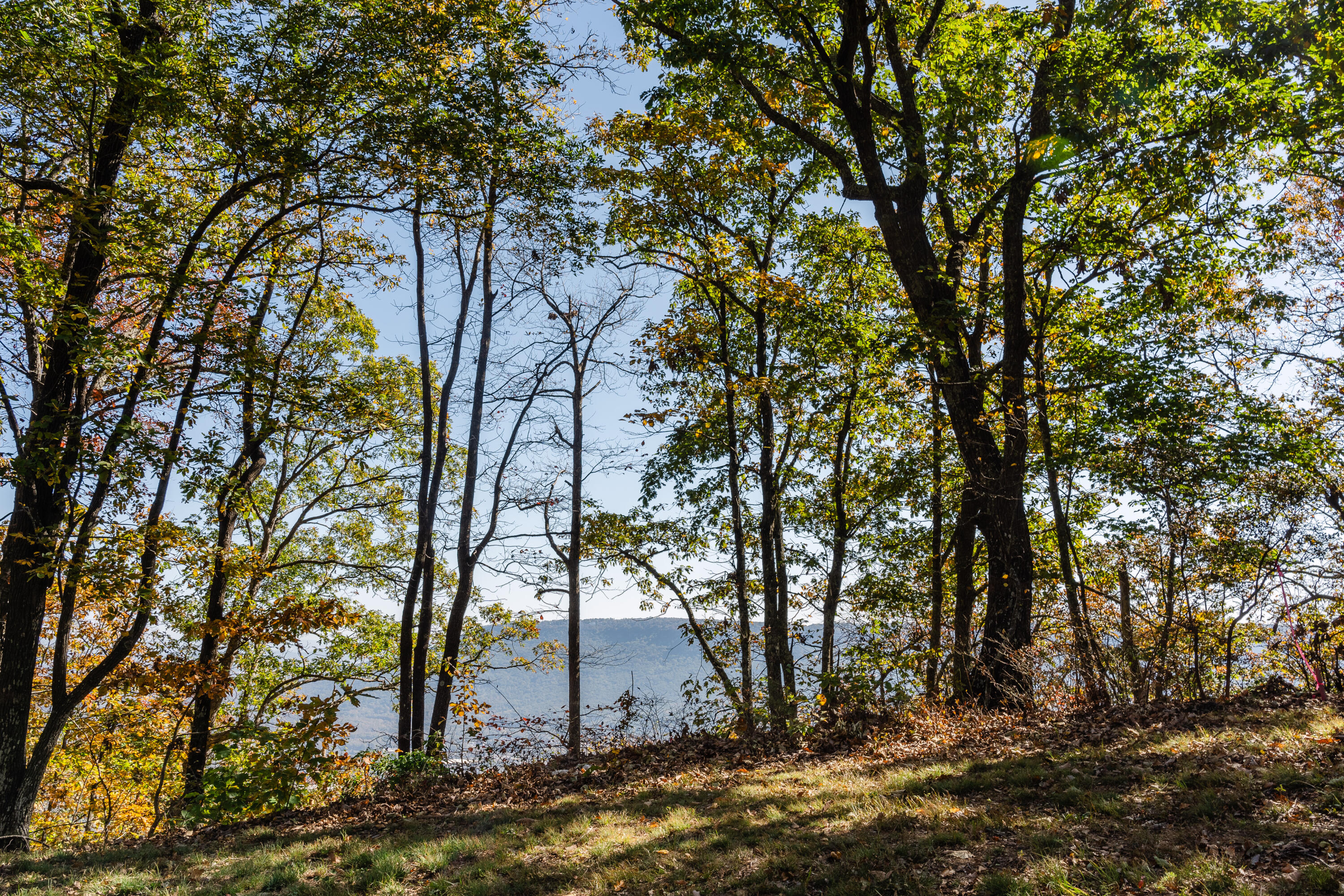 BlackCreek_10-24-2024_Lots_32