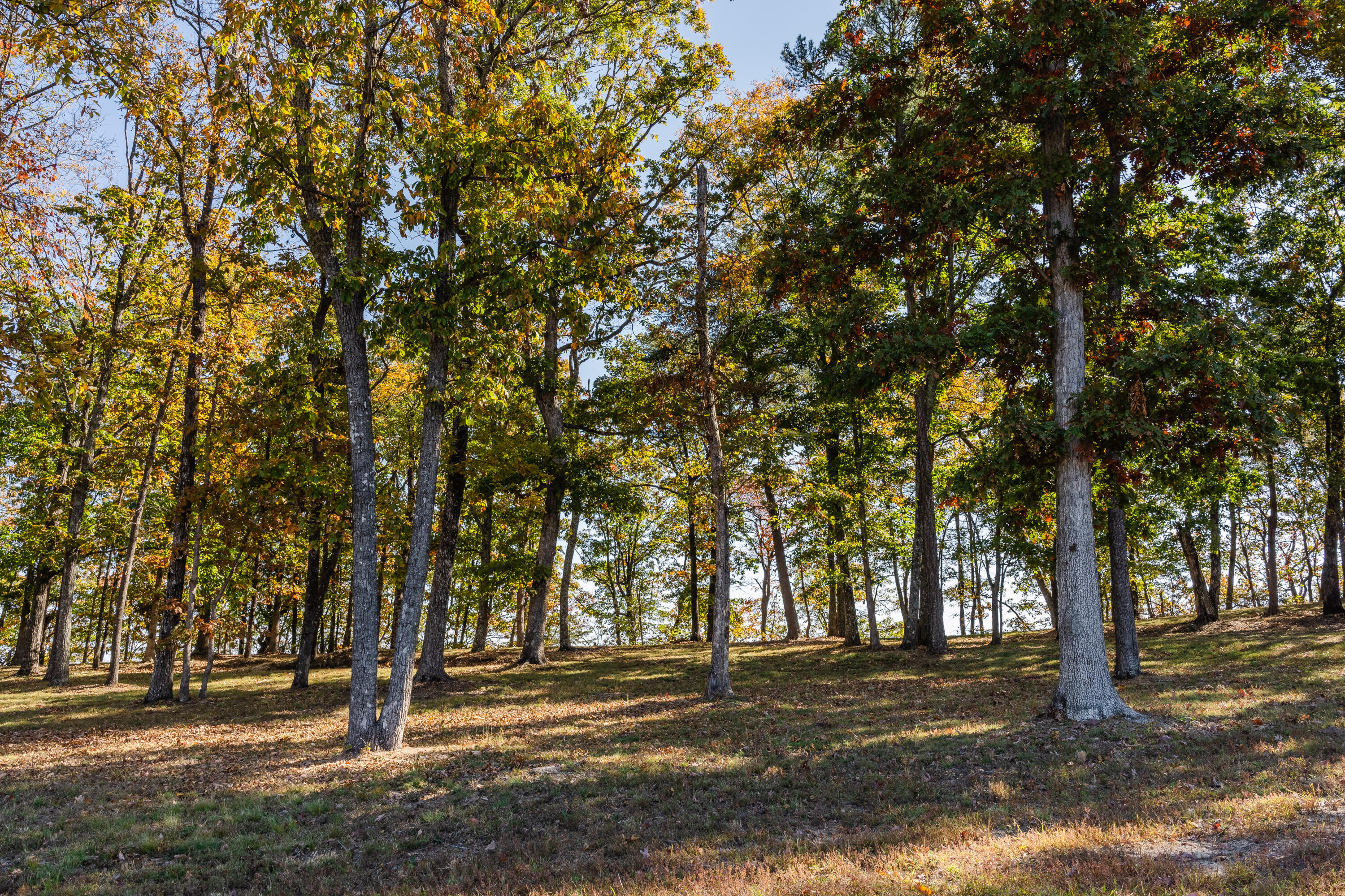 BlackCreek_10-24-2024_Lots_30