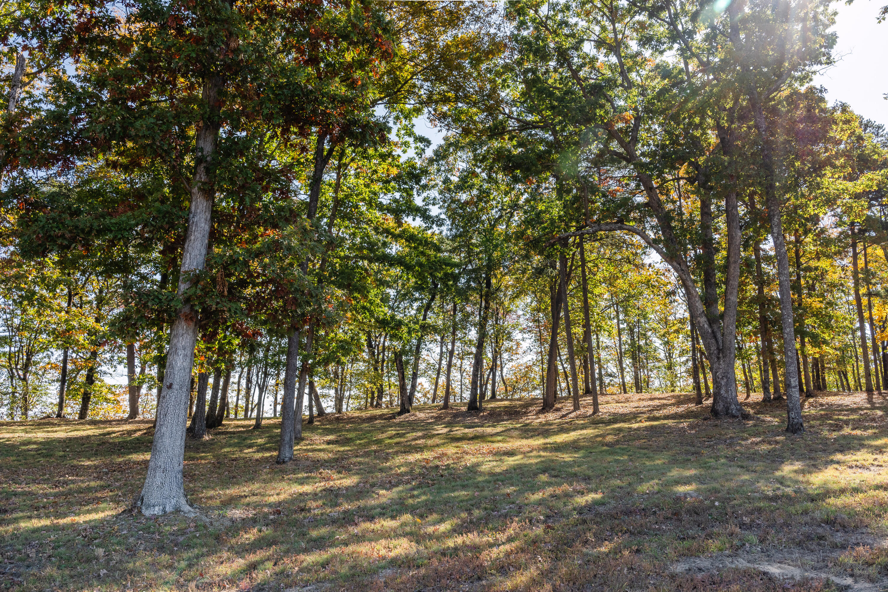 BlackCreek_10-24-2024_Lots_31