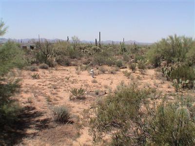 5225 North Sandario Road Tucson, AZ 85743 - Photo 3 of 5